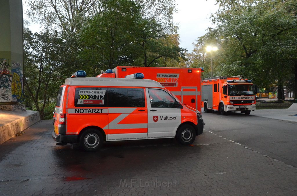 Einsatz BF Hoehenretter Koelner Seilbahn Hoehe Zoobruecke P2217.JPG